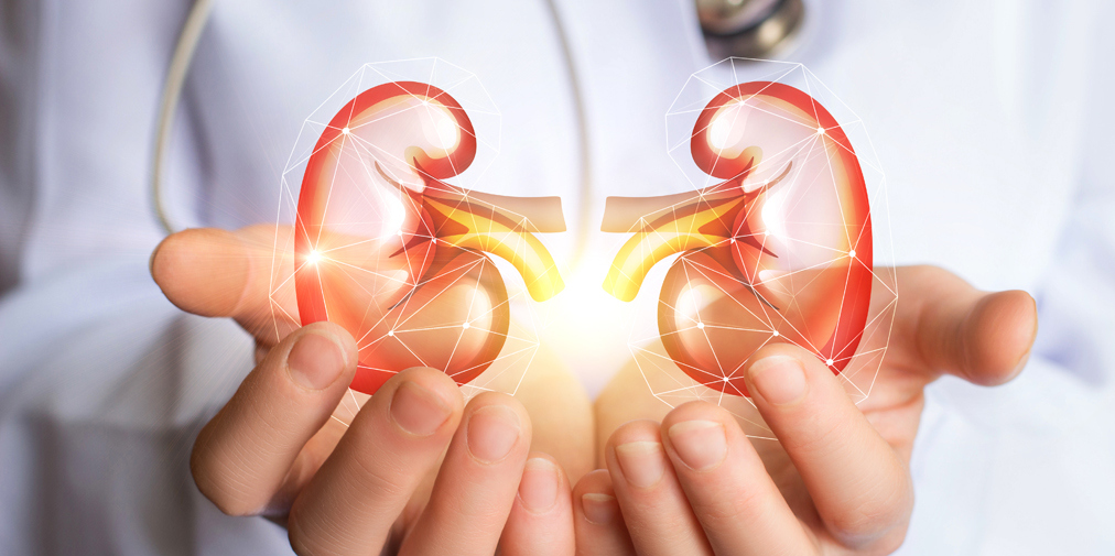 função renal - hemodiálise